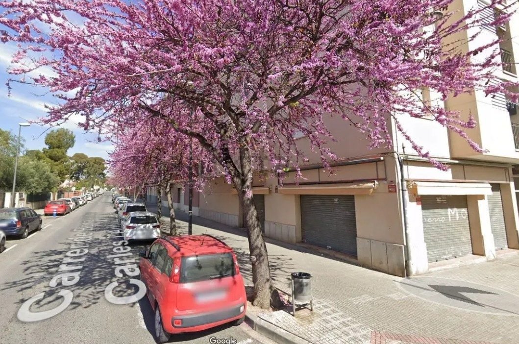 Casa/Chalet a joan bertran,5